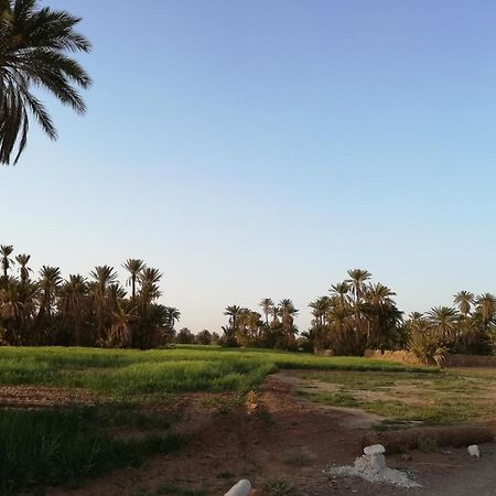Kasbah Les Alizes Du Desert 모하미드 외부 사진