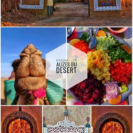 Kasbah Les Alizes Du Desert 모하미드 외부 사진