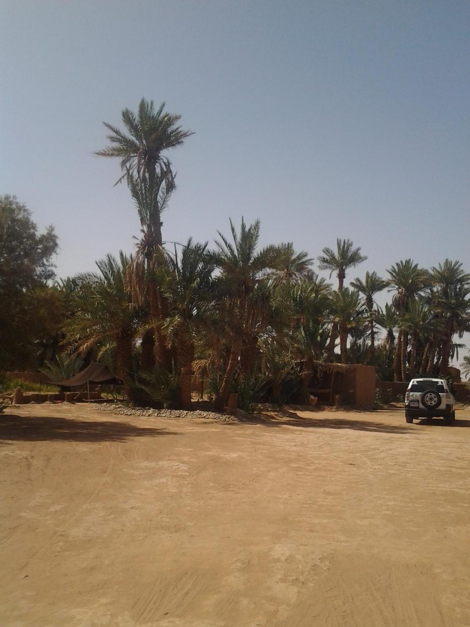 Kasbah Les Alizes Du Desert 모하미드 외부 사진