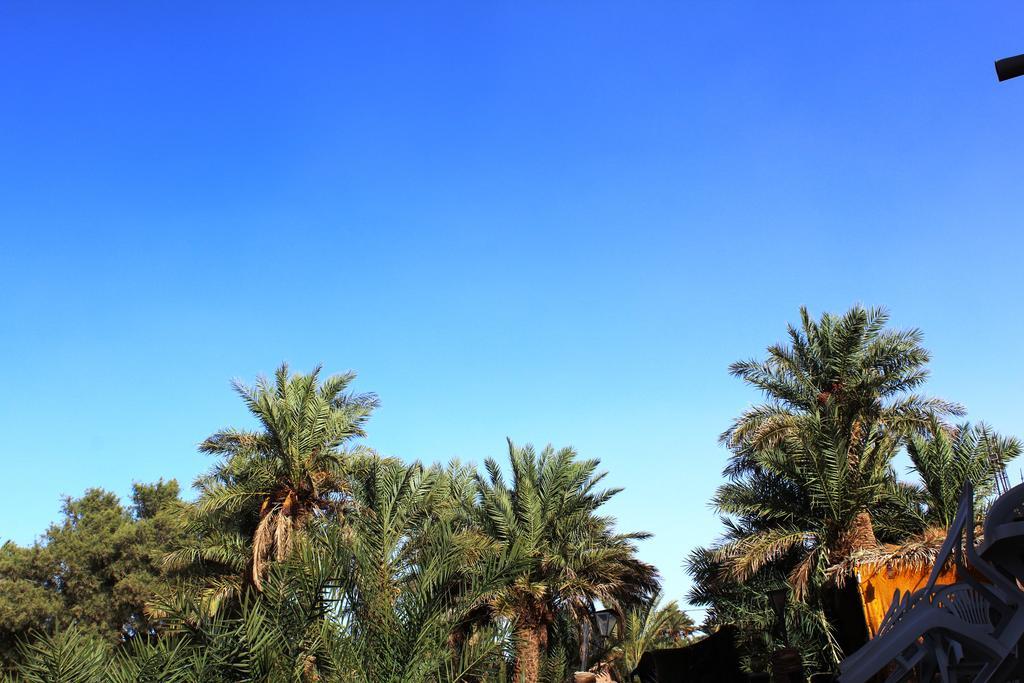 Kasbah Les Alizes Du Desert 모하미드 외부 사진