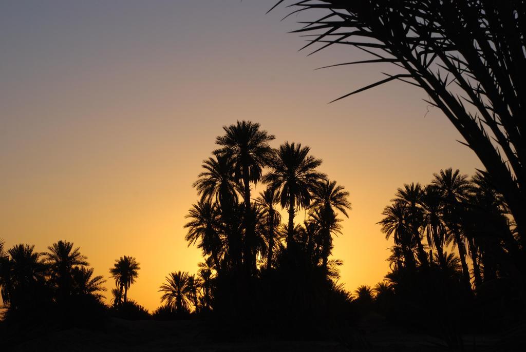 Kasbah Les Alizes Du Desert 모하미드 외부 사진