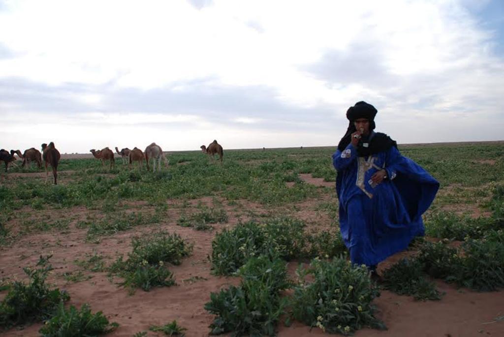 Kasbah Les Alizes Du Desert 모하미드 외부 사진