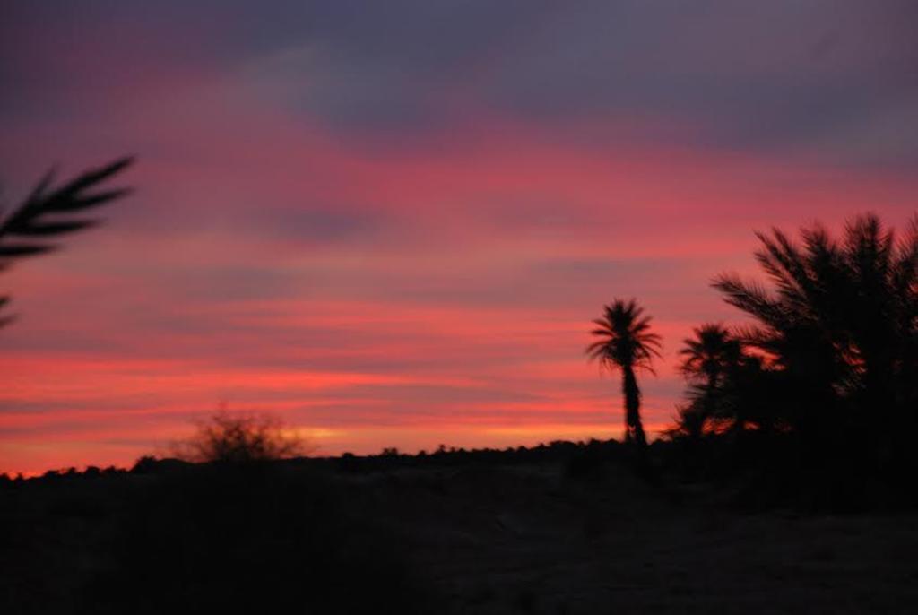 Kasbah Les Alizes Du Desert 모하미드 외부 사진