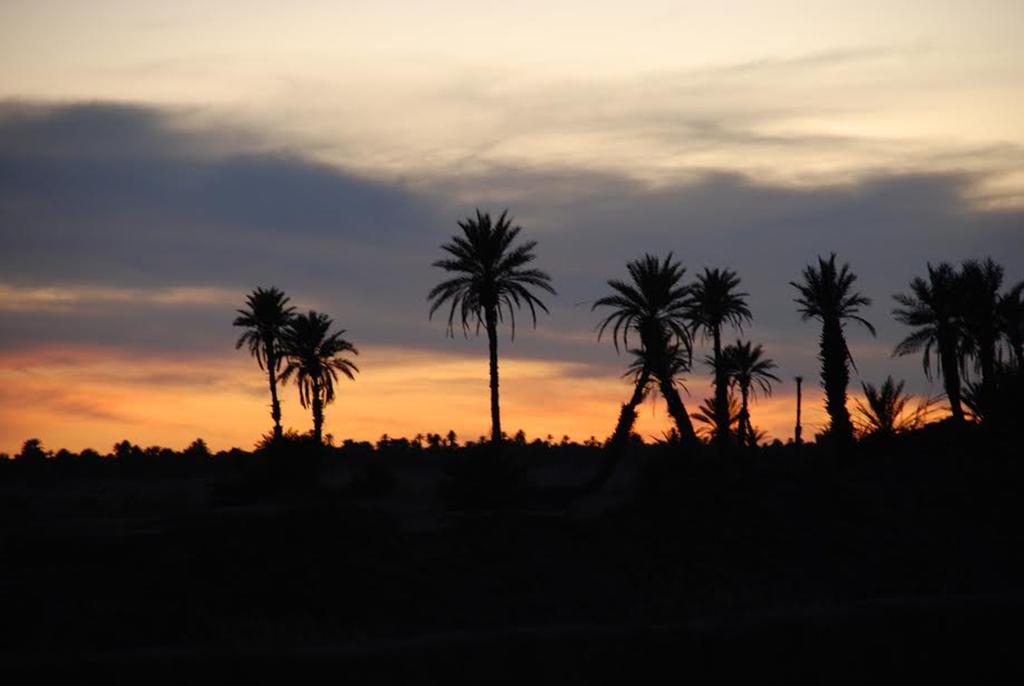 Kasbah Les Alizes Du Desert 모하미드 외부 사진