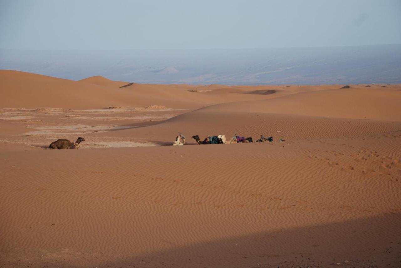 Kasbah Les Alizes Du Desert 모하미드 외부 사진
