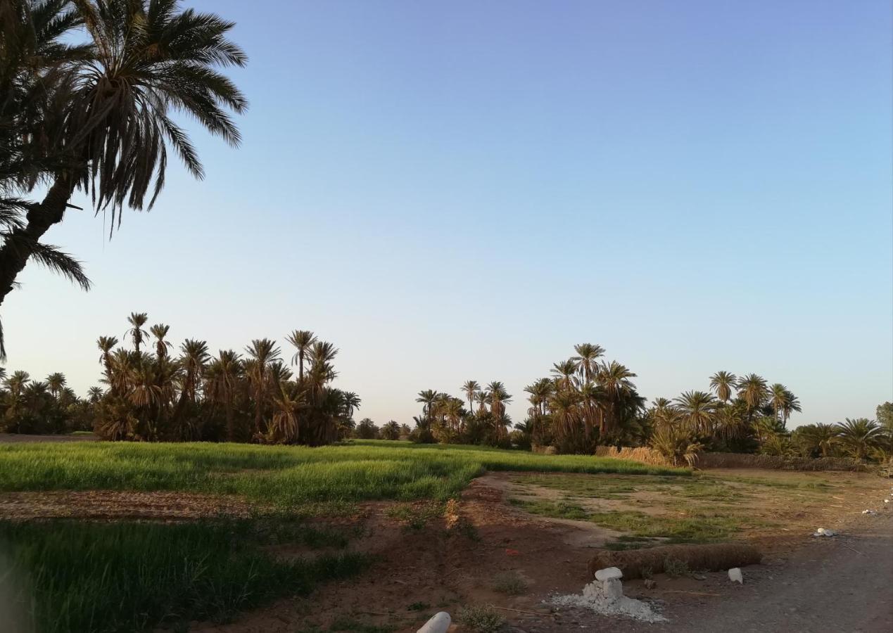 Kasbah Les Alizes Du Desert 모하미드 외부 사진
