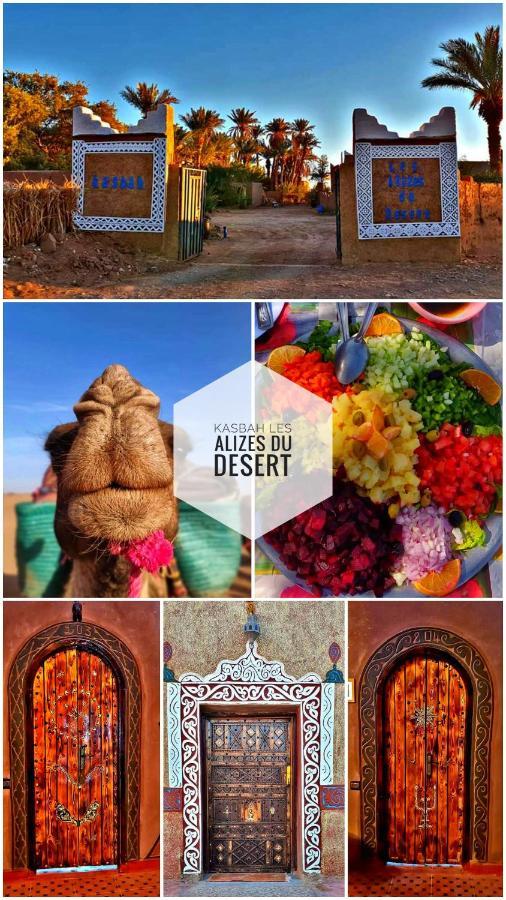 Kasbah Les Alizes Du Desert 모하미드 외부 사진