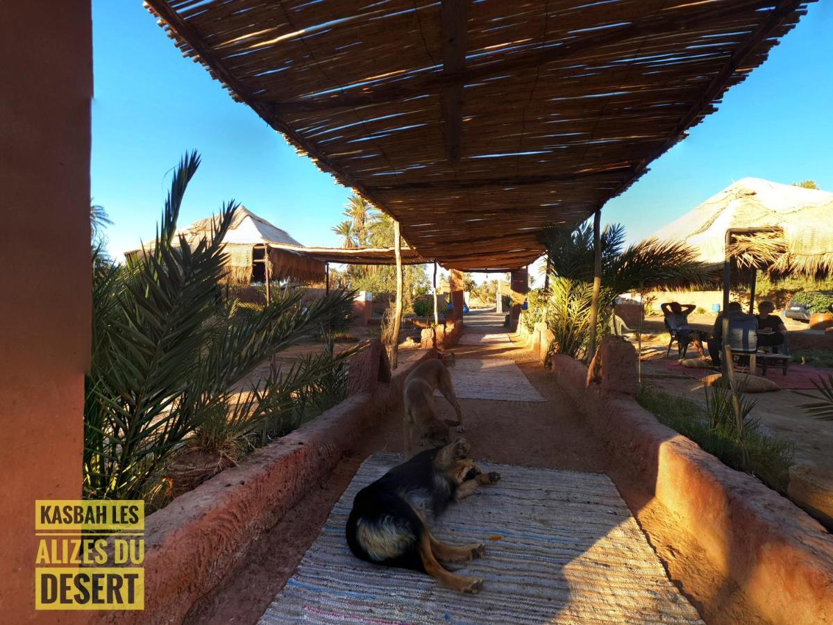 Kasbah Les Alizes Du Desert 모하미드 외부 사진
